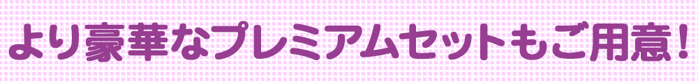 より豪華なプレミアムセットもご用意