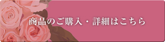 通帳ケース-フラワーフェアリーズ　詳細はこちら