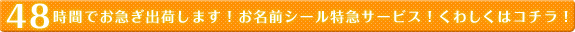 お名前シールを48時間出荷！お名前シール特急サービス